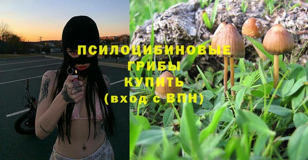 сатива Наволоки