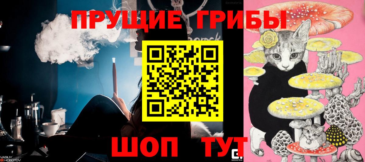 Галлюциногенные грибы Cubensis Уфа